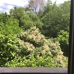 Garden Hostel *