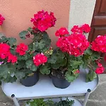 Garden Hostel