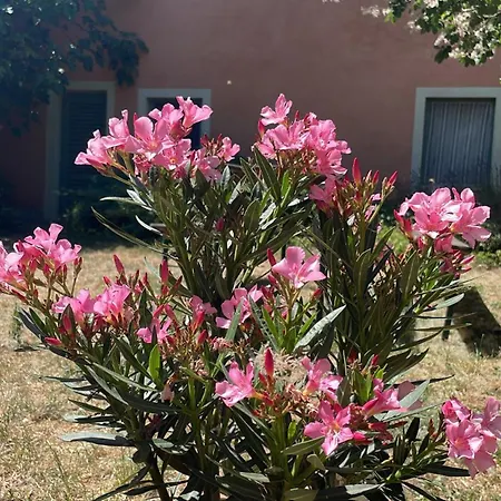 Balazs - In A Area, With Our Own Garden - Next To Metro 4 Station * Budapest