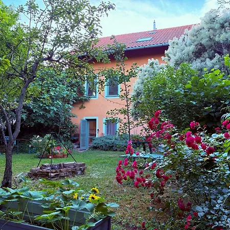 Garden ブダペスト