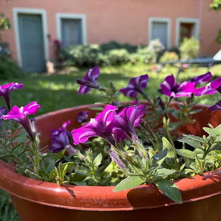 Garden Hostel Budapest