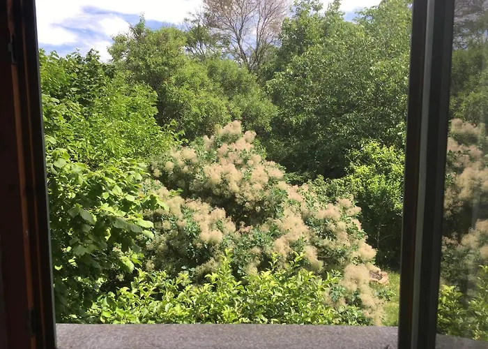 Hostel Balazs - In A Area, With Our Own Garden - Next To Metro 4 Station Budapest