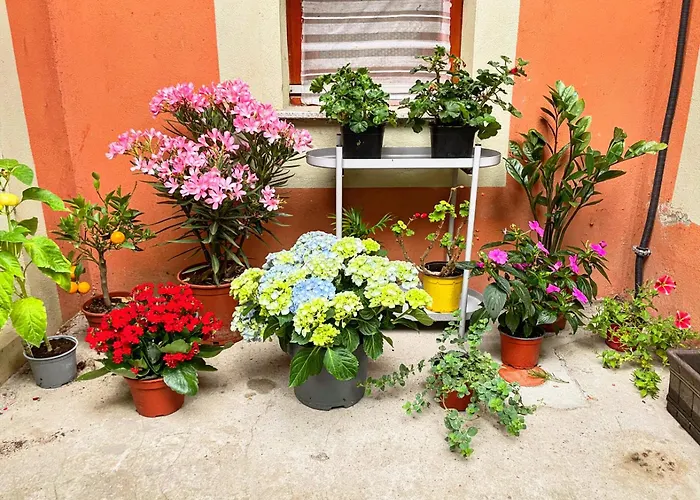 Balazs - In A Area, With Our Own Garden - Next To Metro 4 Station *