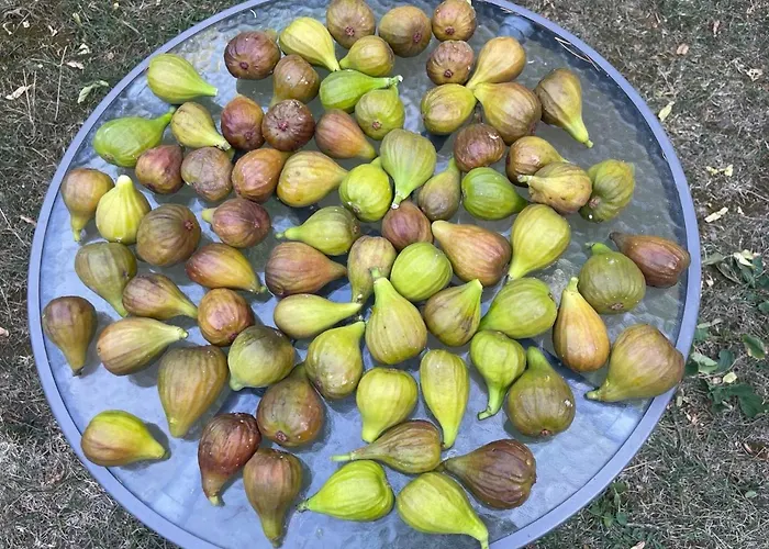 Hostel Balazs - In A Area, With Our Own Garden - Next To Metro 4 Station