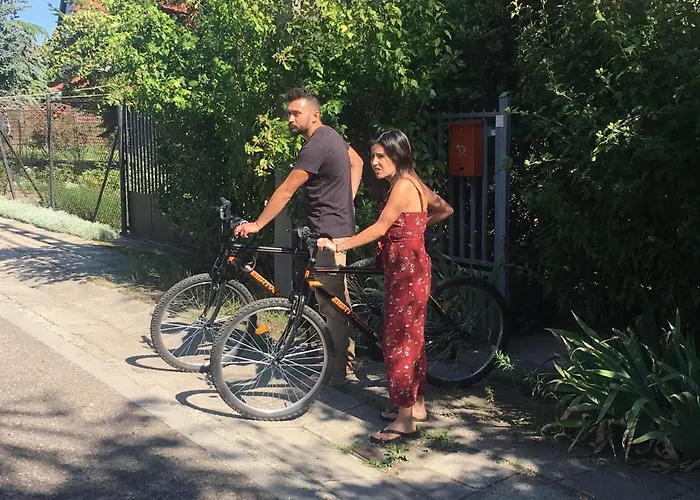 Balazs - In A Area, With Our Own Garden - Next To Metro 4 Station Hostel