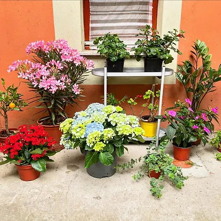 Balazs - In A Area, With Our Own Garden - Next To Metro 4 Station *