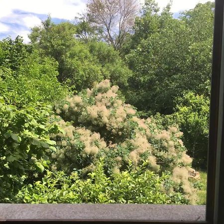 旅馆 Garden 布达佩斯